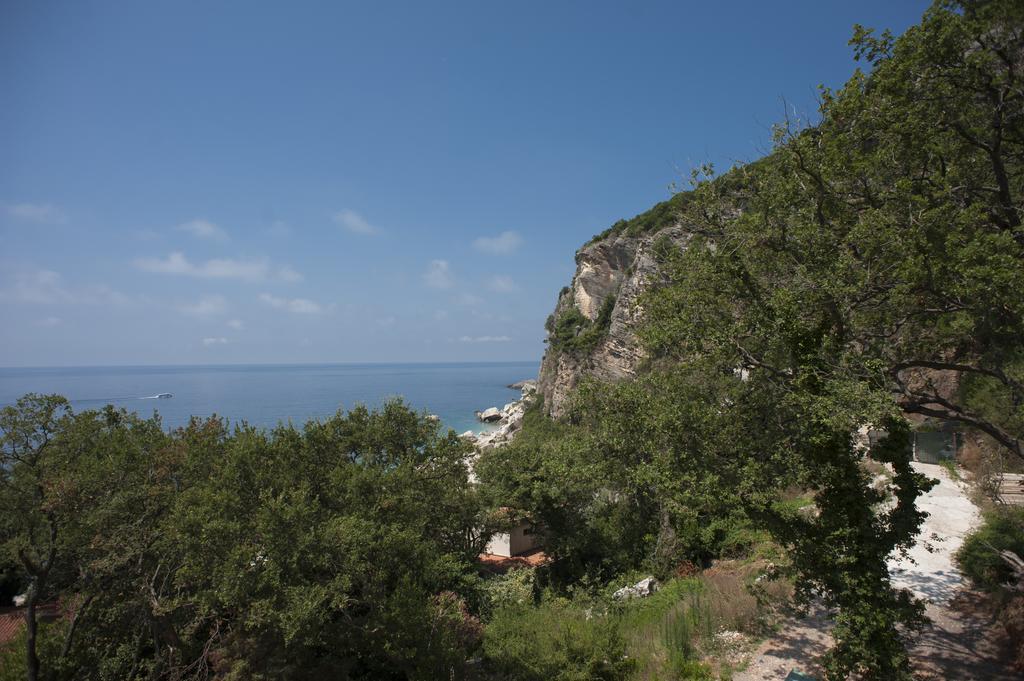 Apartments Villa Simonovic Petrovac Ngoại thất bức ảnh
